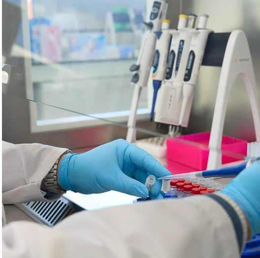 Handen met blauwe handschoenen zetten buisjes klaar voor onderzoek in het laboratorium